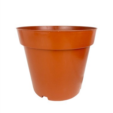 Пластикова кашпо в горщику
